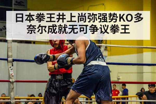 boxing match action punch